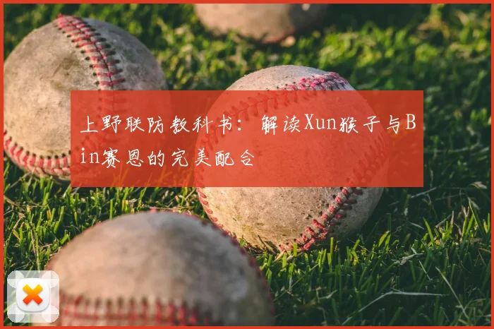 上野联防教科书：解读Xun猴子与Bin赛恩的完美配合