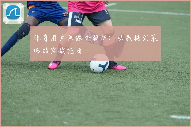 体育用户画像全解析：从数据到策略的实战指南