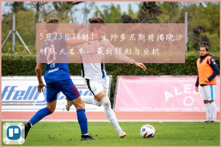 5月23日18时！主帅多尼斯将揭晓沙特队大名单，最新预测与分析