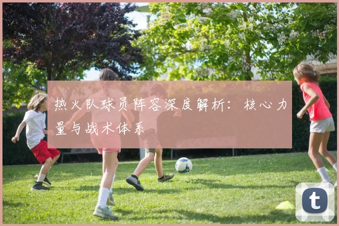 热火队球员阵容深度解析：核心力量与战术体系